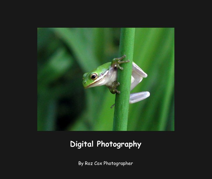 View Digital Photography by Roz Cox Photographer