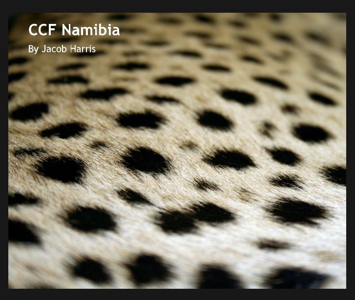 View Cheetah Conservation Fund Namibia by Jacob Harris