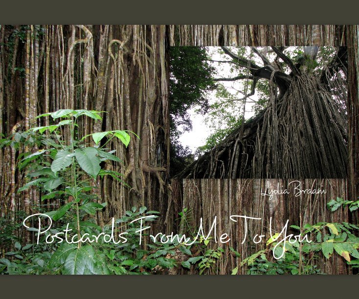 View Postcards From Me To You by Lydia Braam