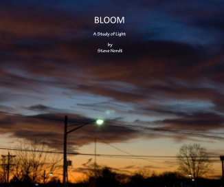 BLOOM book cover