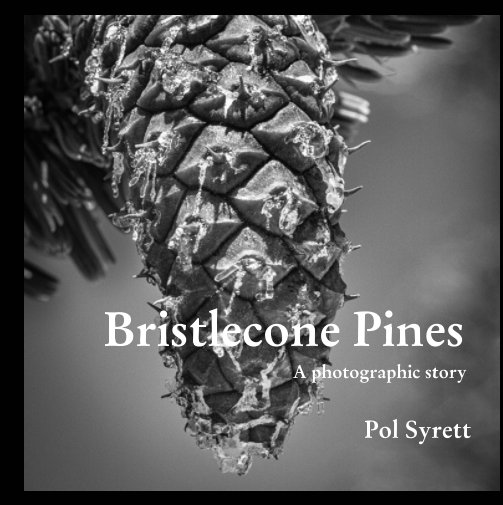 View Bristlecone Pines by Pol Syrett