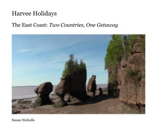 Harvee Holidays book cover