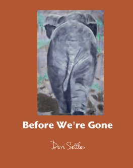 Before We're Gone book cover