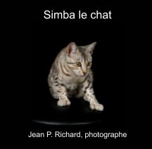 Simba le chat book cover