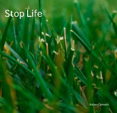 Stop Life book cover