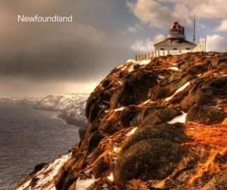 Newfoundland book cover