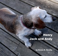Henry Jack and Andy book cover