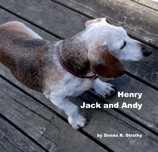 Henry Jack and Andy nach Donna R. Strathy anzeigen