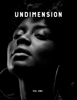 Undimension book cover
