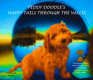 Teddy Doodle's Happy Tails Through The Valley book cover