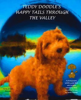 Teddy Doodle's Happy Tails Through The Valley book cover