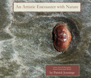An Artistic Encounter with Nature book cover