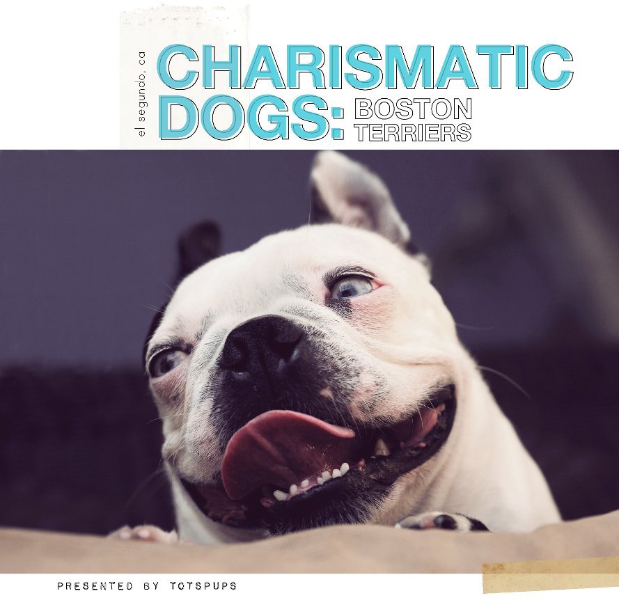 Ver Charismatic Dogs (12x12) por TOTSPUPS