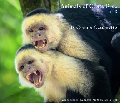 Animals of Costa RIca book cover