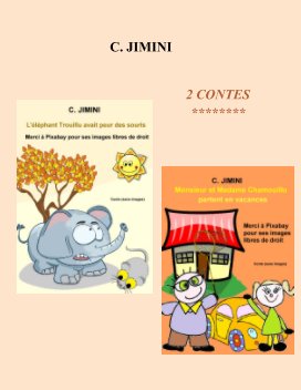 FRANCAIS (Monsieur et Madame Chamouillu partent en vacances) book cover