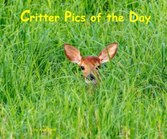 Critter Pics of the Day book cover