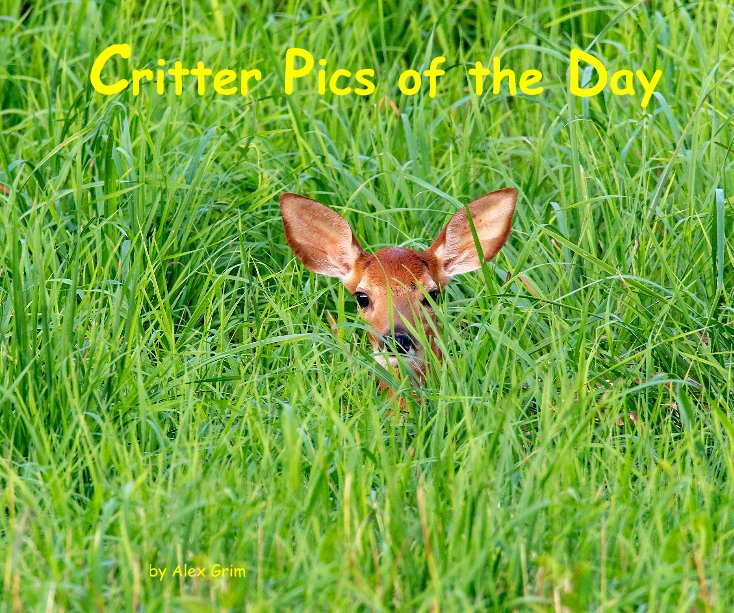 View Critter Pics of the Day by Alex Grim