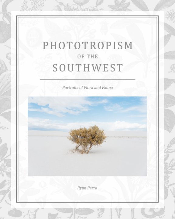 View Phototropism of the Southwest by Ryan Parra