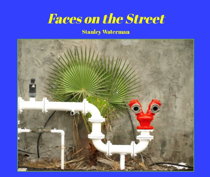View Faces in a Crowd by Stanley Waterman