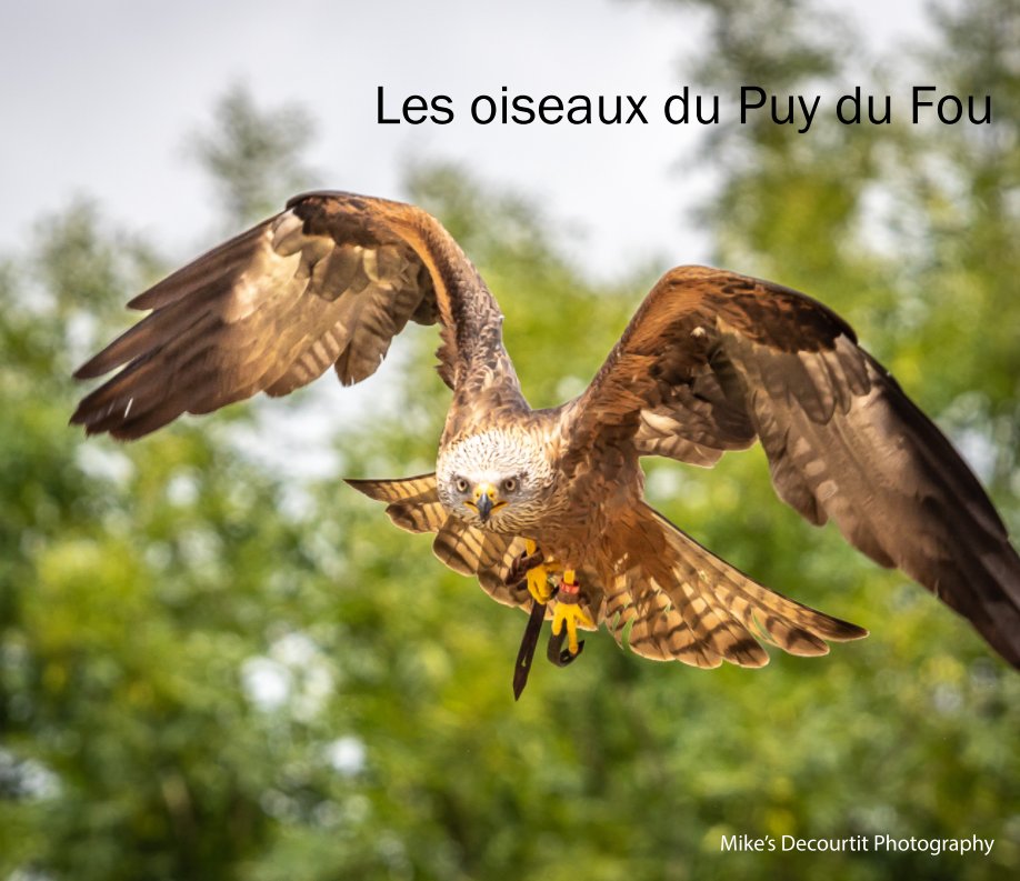 Les Oiseaux - Birds nach Mike Decourtit anzeigen