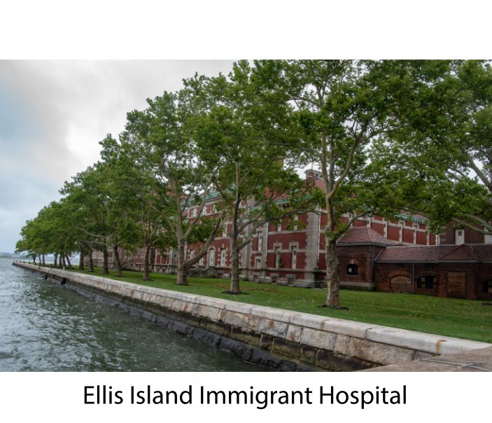 Visualizza Ellis Island Immigrant Hospital di Edmund Diggle