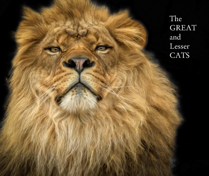 View The Great and Lesser Cats by David Pine