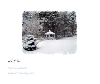 SNOW book cover