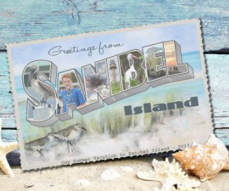 Our Summer Vacation to Sanibel Island - 2017 book cover