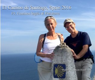 The Camino de Santiago 2016, #3 book cover