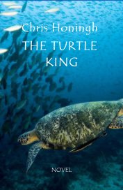 The Turtle King book cover