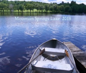 Mountain Springs Lake 2018 book cover