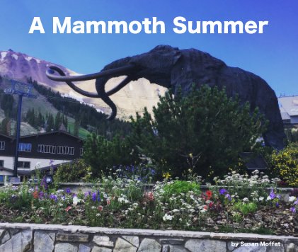 A Mammoth Summer book cover