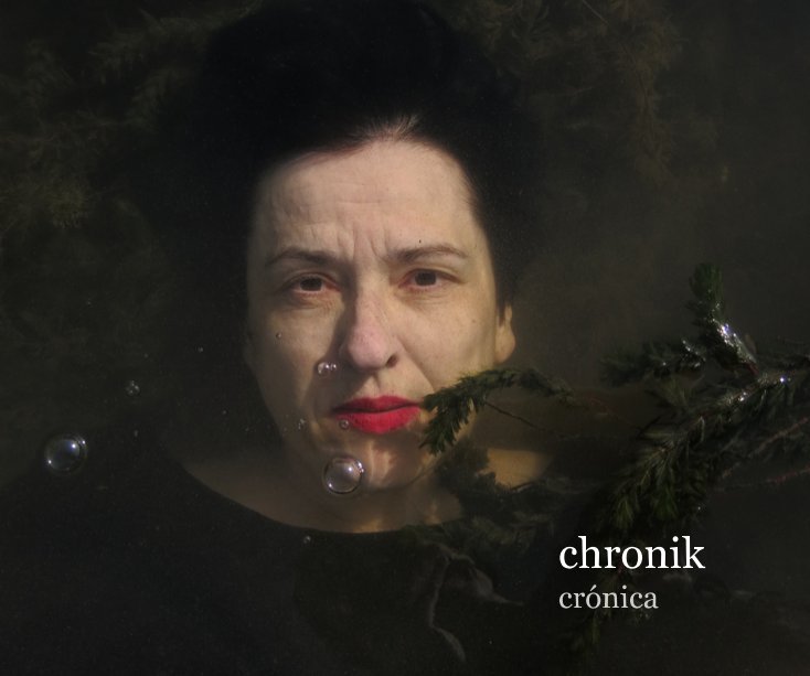 Ver chronik | crónica por Paulo dos Santos workshop