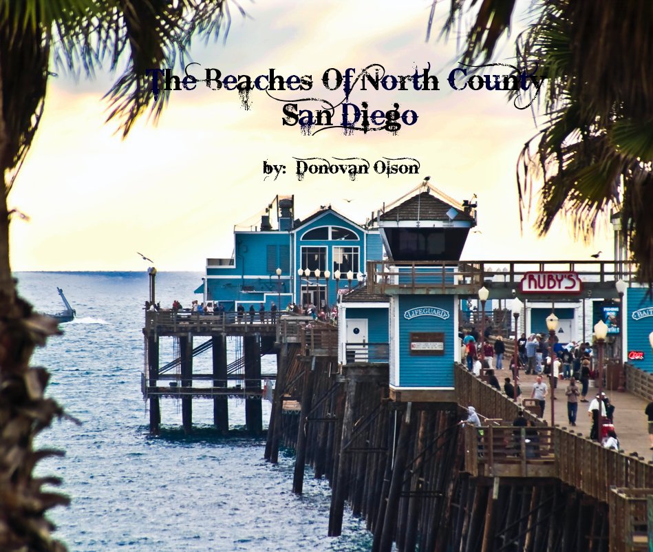 View The Beaches Of North County San Diego by by: Donovan Olson