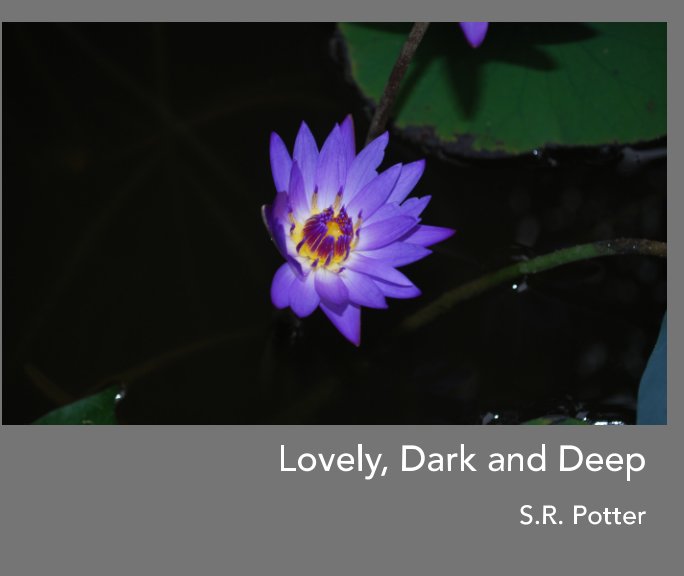 View Lovely, Dark and Deep by SR Potter