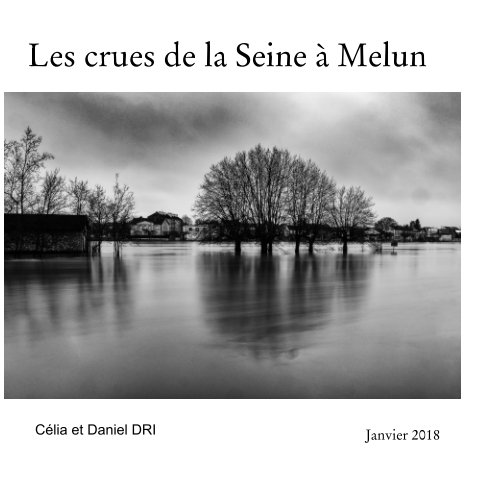 View Les crues de la Seine à Melun by Janvier 2018