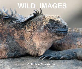 WILD IMAGES book cover