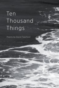 Ten Thousand Things book cover