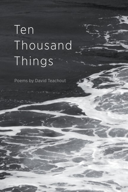 View Ten Thousand Things by David Teachout