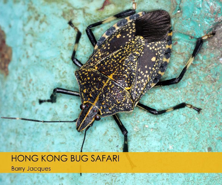 View Hong Kong Bug Safari by Barry Jacques