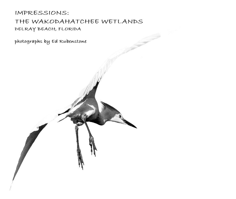 Ver Impressions: Birds of the Wakodahatchee Wetlands por Ed Rubenstone