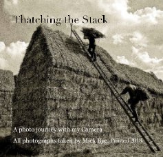 Thatching the Stack book cover
