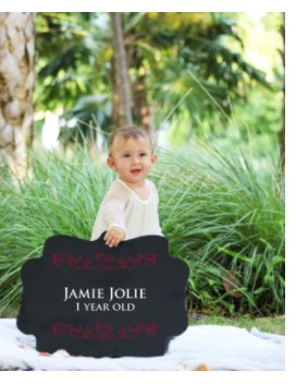 Jamie Jolie one year old book cover