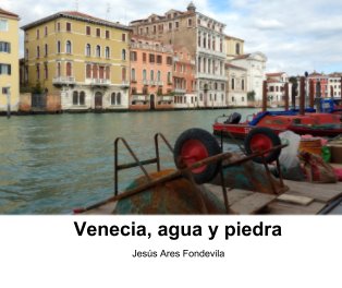 Venecia, agua y piedra book cover