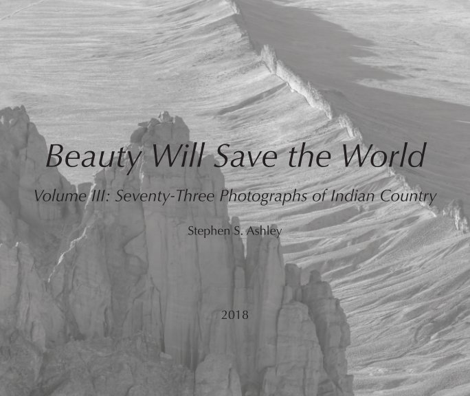 View Beauty Will Save the World by Stephen S. Ashley