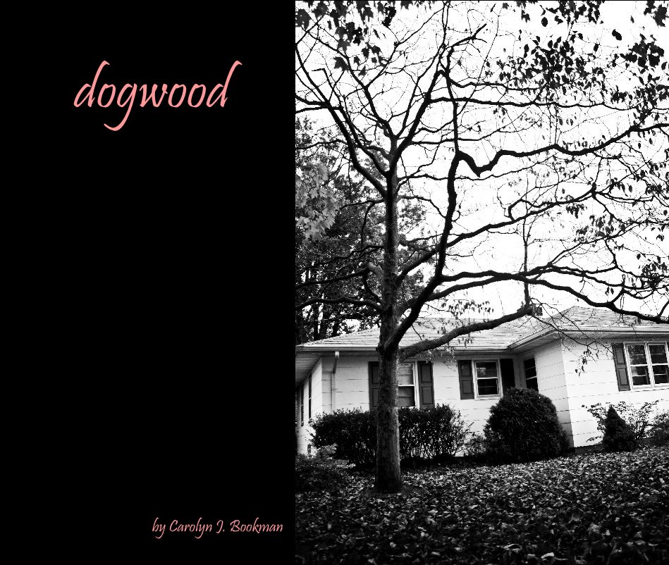 View dogwood by Carolyn J. Bookman
