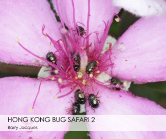 Hong Kong Bug Safari book cover