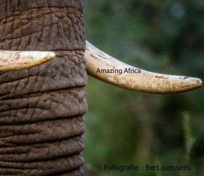 Amazing Africa book cover