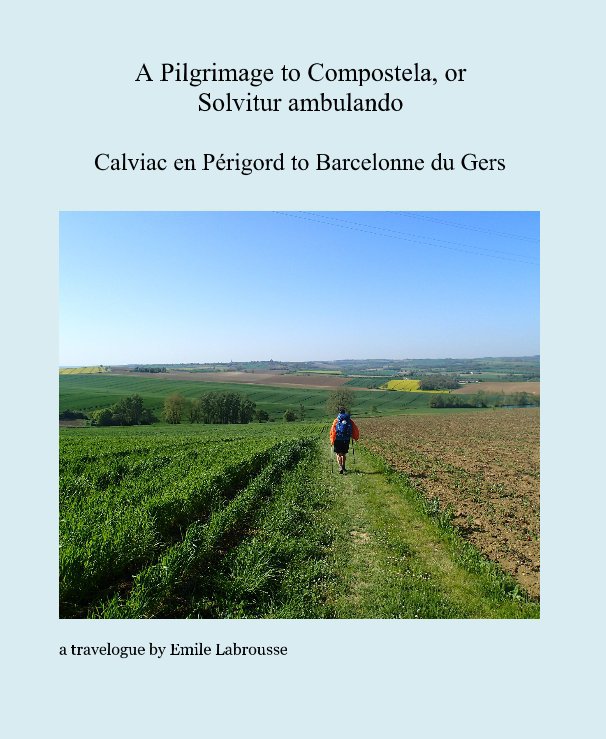 View A Pilgrimage to Compostela, or Solvitur ambulando by Emile Labrousse