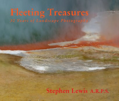 Fleeting Treasures book cover
